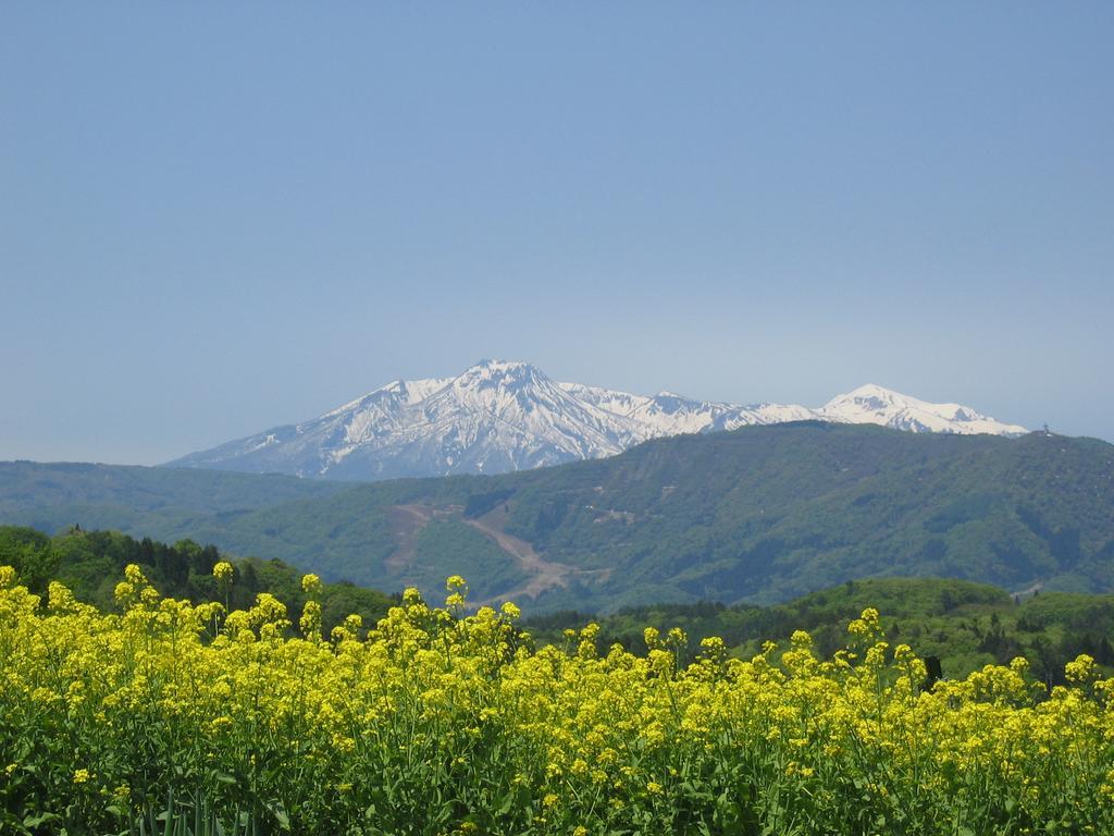 Marushige Villa โนซาวะออนเซ็น ภายนอก รูปภาพ
